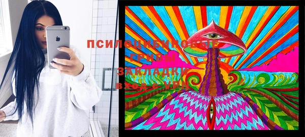 mdpv Зеленодольск