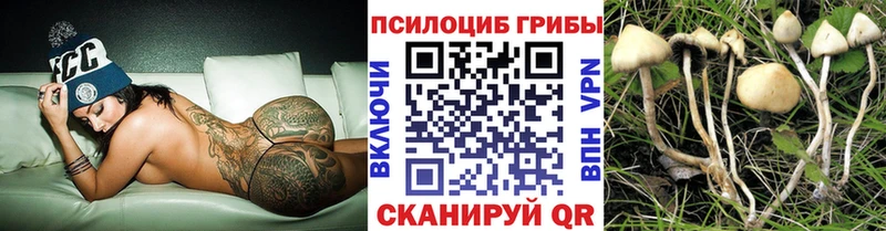 Псилоцибиновые грибы мухоморы Зуевка